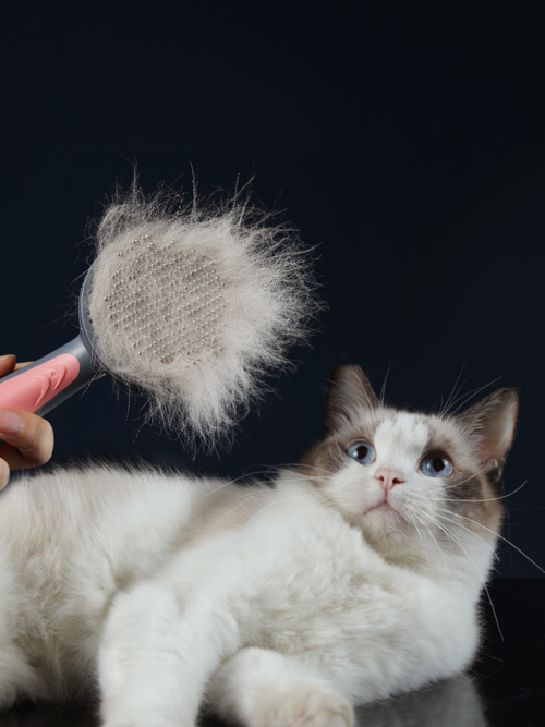 Pet Grooming Cat Comb Dog Comb Cat Hair Brush - Image 3