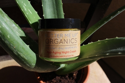 Anti Aging Night Cream Face Moisturizer Organic Green Tea - Image 10